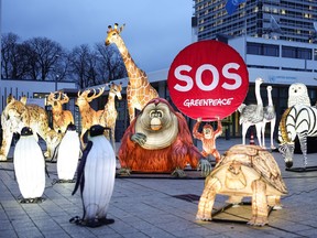 Illuminated effigies of animals are set up by Greenpeace in front of the United Nations campus in Bonn, Germany, ahead of the COP15 biodiversity conference in Montreal.