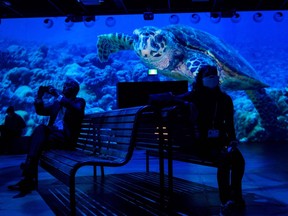 People visit the immersive video experience hosted by the National Geographic Society at a press event during the United Nations Biodiversity Conference (COP15) in Montreal on Dec. 7, 2022.