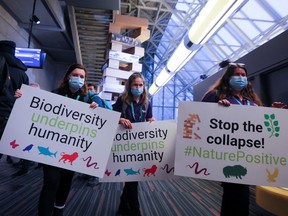 Members of World Wildlife Fund (WWF) protest during COP15, the two-week UN Biodiversity summit, in Montreal, Quebec, Canada December 7, 2022