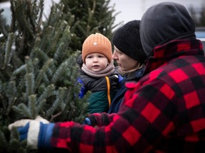 Two year-old Arthur Mercier gets a close look at a Christmas tree with his mother, Chloe Plenet, as Daniel Raymond from Christian Marois Abres de Noel holds up the tree at Atwater market Dec. 11, 2022.