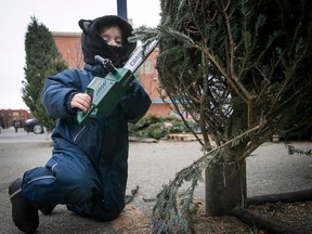 Three year-old Charlie Dougherty tries to limb some branches with his junior chainsaw, as the family looks for the perfect Christmas tree at Atwater market Dec. 11, 2022.