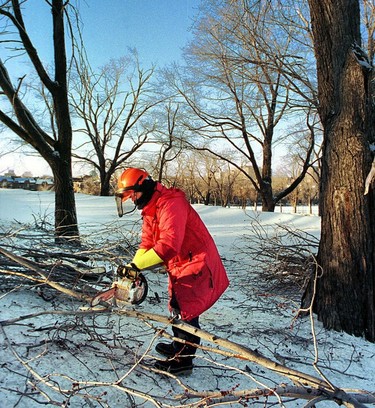 A city worker cuts fallen branches near Mount Royal Park on Jan. 14, 1998.