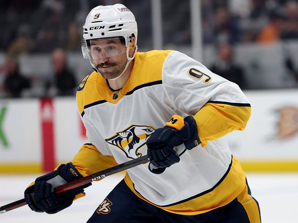 McCarron of Predators to enter NHL/NHLPA Player Assistance Program