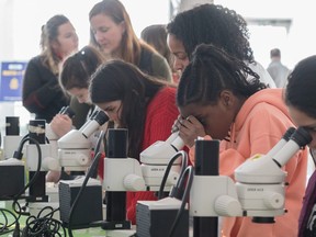 The Women and Girls of Science event returns for its sixth year. PHOTO SUPPLIED.
