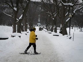 Jeanne-Mance Park provides a lovely backdrop for snowshoeing.