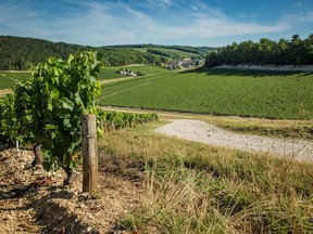 Chablis, the northernmost chardonnay growing region in France, yields wines with relatively high acidity and a salty mineral finish.