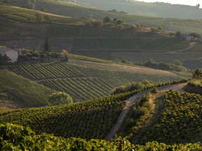 The granite hills of the Morgon Cru produce mid-weight wines that can easily age for five to eight years.