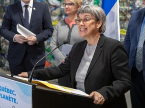 Sonia Gagné, President and CEO Recyc-Québec in 2020.