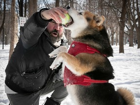 Roberto Sodano and Kami the Shiba Inu have a tug of war over a tennis ball in February 2023.