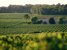 The Graves region of Bordeaux's left bank is known for its mix of cabernet sauvignon and merlot.