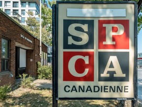 The SPCA in Montreal.