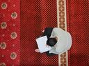 A man reads the Qur'an after praying at Al Makmur mosque in Banda Aceh, Indonesia, on March 23, 2023.