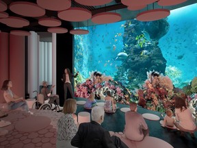 An artist's conception of the coral theatre at the Aquarium de Montréal, set to open at Royalmount in 2024.