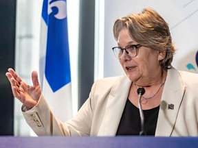 “For some community organizations, the issue of security screening is major," says Chantal Rouleau, minister for social solidarity and community action.