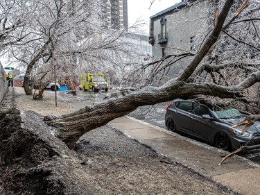 The weight of freezing rain felled a tree, landing on a car in traffic as well as parked cars on Greene Avenue south of Dorchester Boulevard in Westmount on Wednesday April 5, 2023.