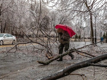 Tree branches that crashed to the ground, like this one on Sherbrooke Street near Atwater proved to be obstacles for Montrealers to navigate around in Montreal on Wednesday April 5, 2023. Dave Sidaway / Montreal Gazette