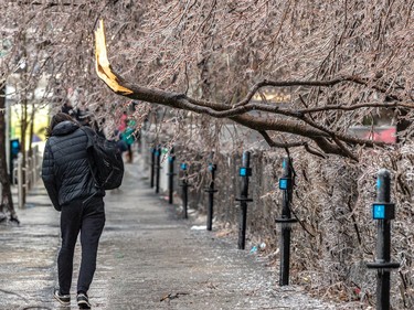 A Montrealer ducks under a branch that broke off of one of the trees at Dawson College due to the weight of the freezing rain in Montreal on Wednesday April 5, 2023.