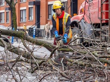 Arborist Claudine Gagnon cuts branches off a tree limb that fell on Lajeunesse Street in the Ahuntisic-Cartierville borough Thursday April 6, 2023 after an ice storm hit the area the day before.