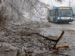 Traffic detours around branches that fell on St-Charles Blvd. in Beaconsfield, west of Montreal Thursday April 6, 2023 after an ice storm hit the city the day before.