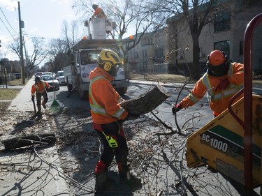 City of Verdun workers cut down and clear the trees taken on Gordon St. near Champlain Blvd. Friday April 7, 2023. An ice storm two days earlier ravaged trees.