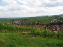 Many regions, including Alsace, produce wines in which a little extra residual sugar is needed to balance out the acidity.