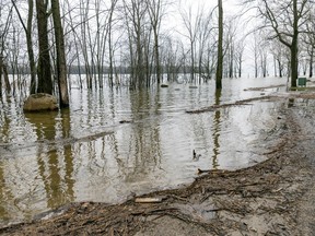 The rising Rivière-des-Prairies has flooded the parking lot in the l'Anse-a-l'Orme nature park in the Pierrefonds-Roxboro borough.