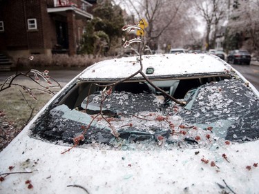 Tree branches fell through a windshield after freezing rain hit Montreal on April 5, 2023.