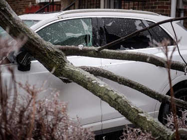 Tree branches fell through a windshield after freezing rain hit parts of Quebec and Ontario in Montreal on April 5, 2023.