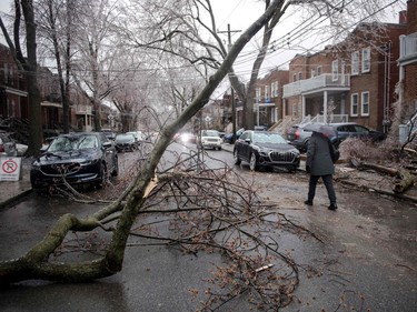A person walks around fallen tree branches and power lines after they fell in Monkland Village after freezing rain hit Montreal on April 5, 2023.
