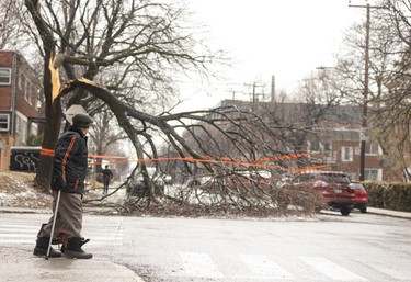 A man walks near fallen branches in Montreal a day after freezing rain and strong winds cut power to more than a million people in Quebec.