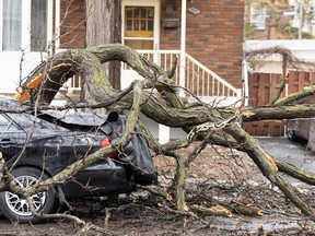 Fallen branches are seen on a car on April 6, 2023, a day after freezing rain and strong winds cut power to more than a million people in Quebec.