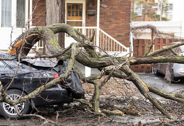 Fallen branches are seen on a car on April 6, 2023, a day after freezing rain and strong winds cut power to more than a million people in Quebec.
