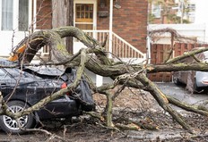Explainer: Why is it taking so long to re-establish power after the ice storm?