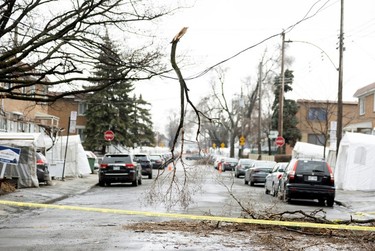 A fallen branch hangs on a hydro line on April 6, 2023, a day after freezing rain and strong winds cut power to more than a million people in Quebec.