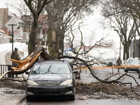 A fallen branch is seen on a car April 6, 2023, a day after freezing rain and strong winds cut power to more than a million clients in Quebec.