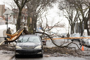 A fallen branch is seen on a car April 6, 2023, a day after freezing rain and strong winds cut power to more than a million clients in Quebec.