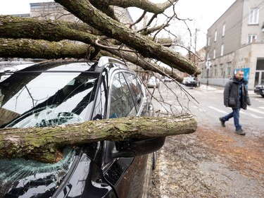 Fallen branches on a car, a day after freezing rain and strong winds cut power to more than a million people.