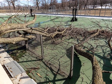 Tennis will have to wait for a cleanup on the courts at Jeanne-Mance Park in Montreal on Friday, April 7, 2023, after tree limbs crashed to the ground because of the freezing rain on Wednesday.