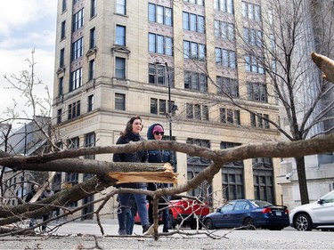 People detour around fallen tree branches following an ice storm in Montreal, April 7, 2023.