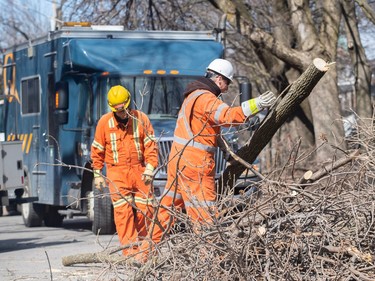 A Hydro crew removes fallen branches from a street following an ice storm in Montreal, Friday, April 7, 2023. Hydro-Québec says it has restored power to more than half-a-million customers since Wednesday's ice storm, but more than 600,000 remain in the dark.