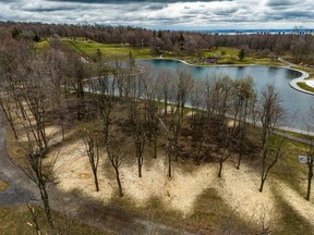 Branches that fell during the freezing rain at the beginning of April were mulched on location, leaving telltale wood chips at the base of the many trees around Beaver Lake atop Mount Royal, April 19, 2023.