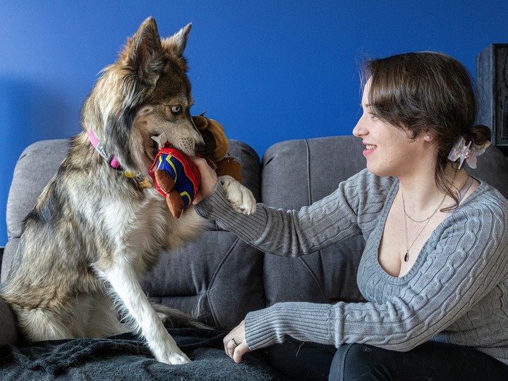  St-Jérôme condo dweller Sarah Michaud-Allard, 28, suffers from severe anxiety and says she has been helped enormously by Princess, a Husky mix from the SPCA.