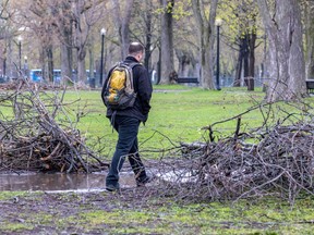 A man walks between some of the dozens of piles of branches from last month's ice storm in Lafontaine Park May 3, 2023.