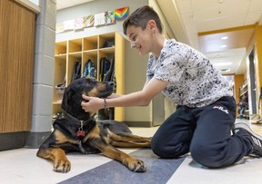 Grade 5 student Joseph Lalli pets Sully, principal Brigitte Valois's dog, at Birchwood Elementary School in St-Lazare on Tuesday May 9, 2023.