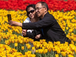 Nguyen Caotu and Nguyen Khan take a selfie at Tulips.ca in Laval May 10, 2023.