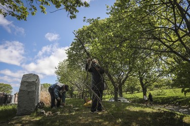 Siblings Kathleen and Allan Turner clean up around the gravesite of their parents at Notre-Dame-des-Neiges Cemetery on May 14, 2023.