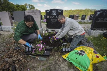Cousins Charity and George Sorgente plant flowers at their aunt Michelina Cain's gravesite in Notre-Dame-des-Neiges Cemetery on May 14, 2023.