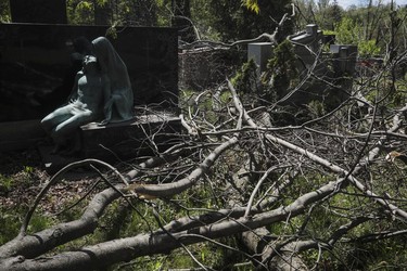 A view of Notre-Dame-des-Neiges Cemetery on May 14, 2023. While some of the cemetery briefly reopened for Mother's Day, many parts remained closed due to damage from the April 5 ice storm.