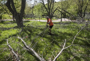 Marc Ouimet cleans  away branches from near his mother Monique's gravesite at Notre-Dame-des-Neiges Cemetery on May 14, 2023.