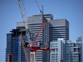 Construction cranes in front of towers on the skyline